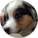 Kate Q profile picture